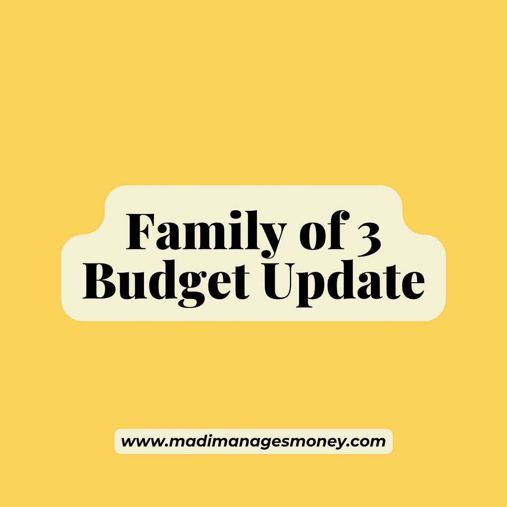 family of 3 budget